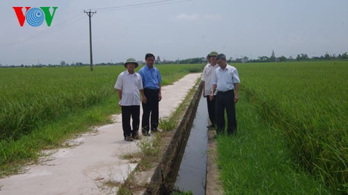Nam Dinh province’s new rural development built with community strength - ảnh 1